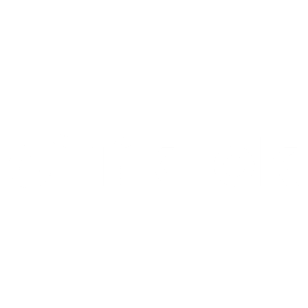 TIK TOK ADS
